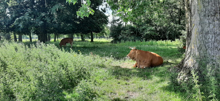 Noorderplas 2