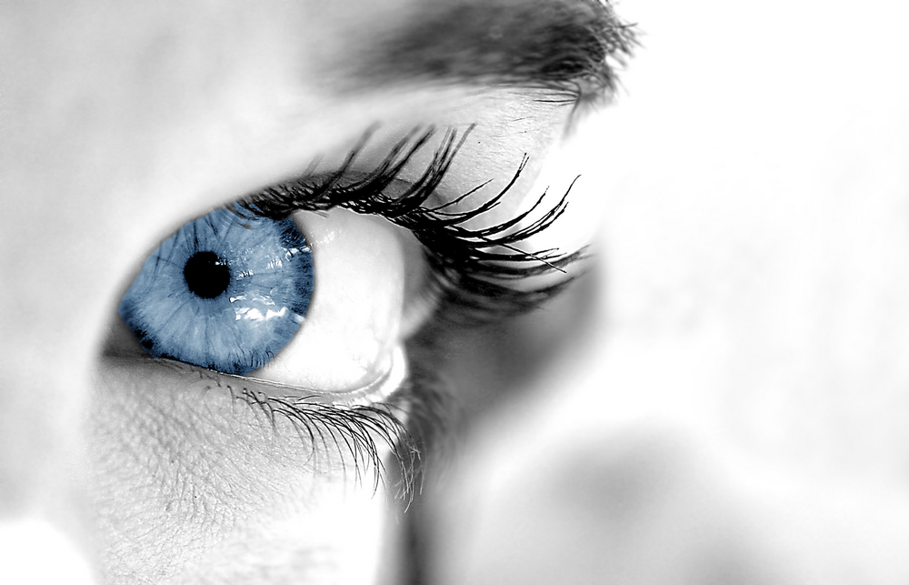 Oog
