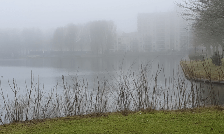 Pisastaete in de mist